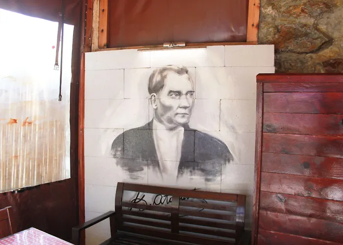 Hanimeli * בוזקאדה