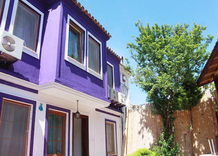 Hanimeli * בוזקאדה