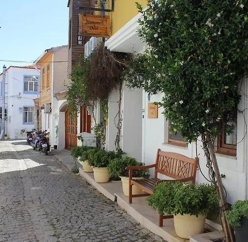 Hanimeli * בוזקאדה