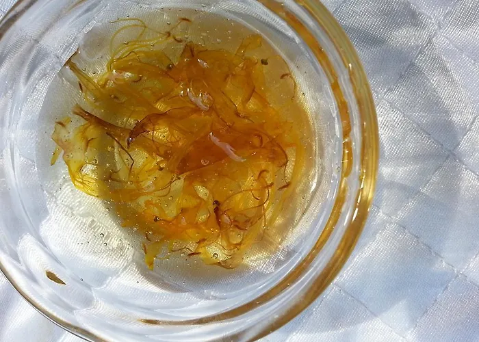 מלון Hanimeli בוזקאדה